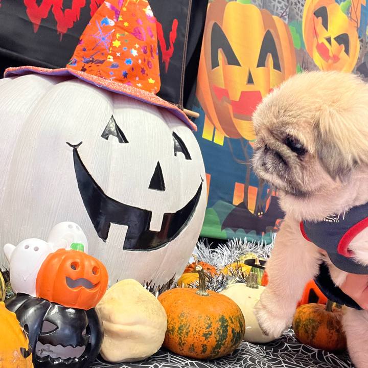 Cb8e5290 4096 49c0 bcd1 7a5346b15f5a 1730094389199