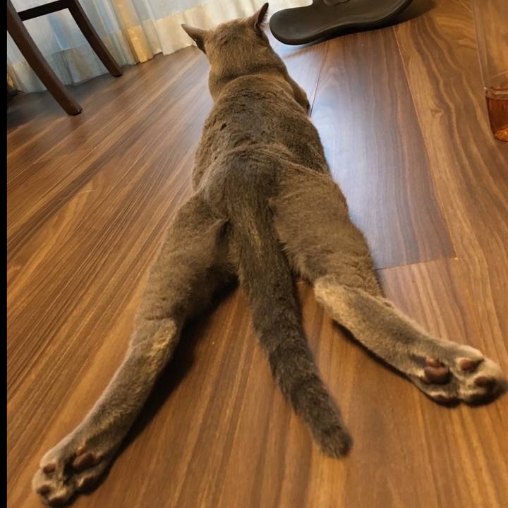 Cb8e6b1d c8a4 45e8 b3ed 40678d9bd60c 1740654030608