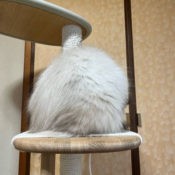 Cb8e7155 a410 4e42 8037 55e867829072 1699791680115