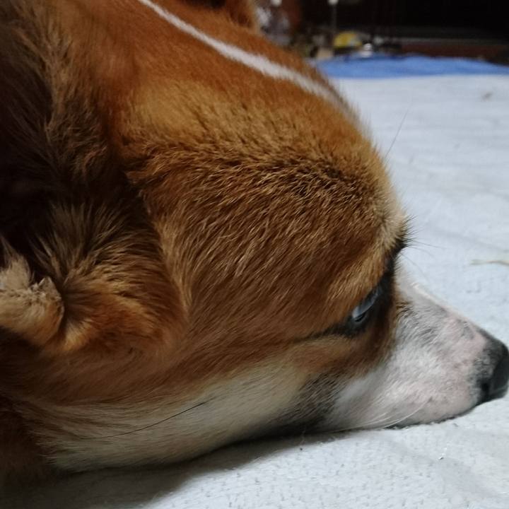 Cb8e81cc fd35 4478 b1ce 19b2b5dd6d0a 1571477935146