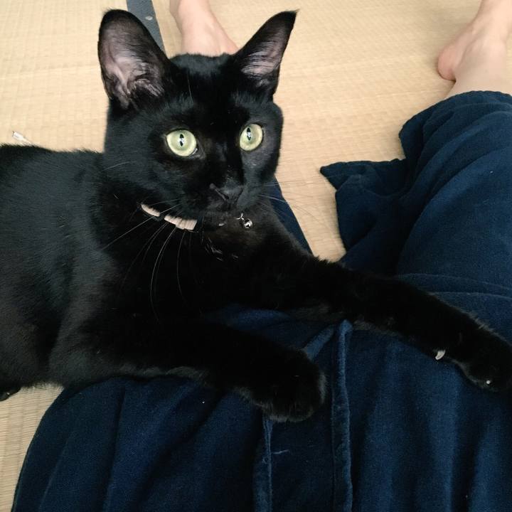 Cb8e8f04 11ba 49e5 b870 a4c2f44044d0 1534517123941