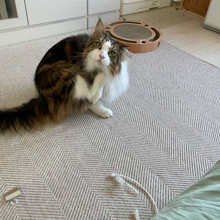 Cb8e9dbc 5bb2 41bd a1bc 3d24688b1278 1684872888285