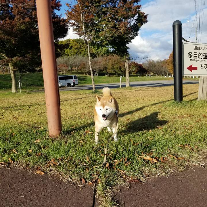 Cb8ea66b 6578 4f24 a02c 68bdb136fc2f 1698645900588