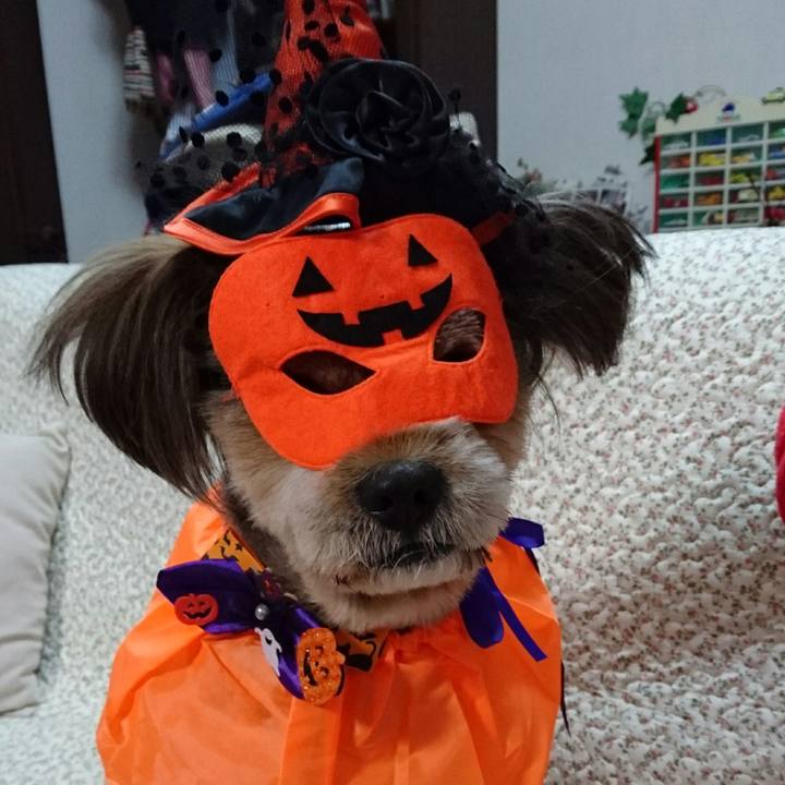 Cb8f18de 2949 48c8 a6d4 64ab050dbaec 1540809844271