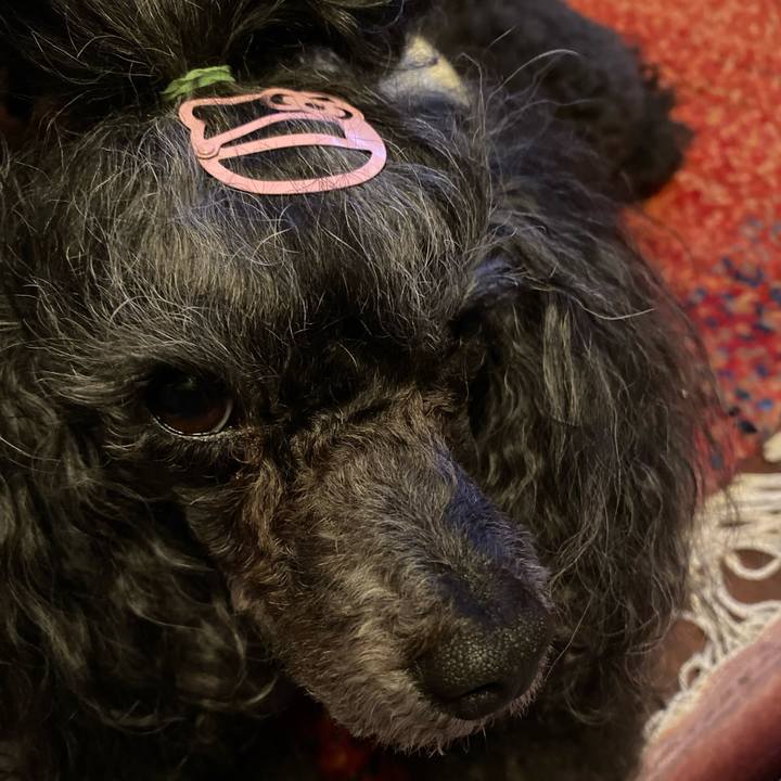 Cb8f3589 715b 4eef 89d0 0f89459108c7 1714567823064