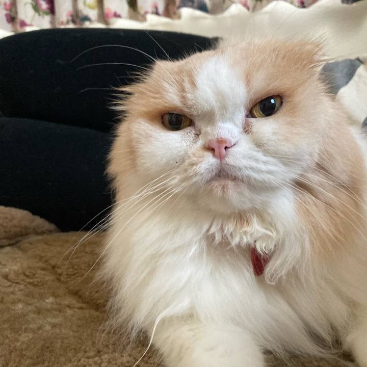 Cb8f4cec bea3 41b6 95c2 28a68a11c98f 1693021569165