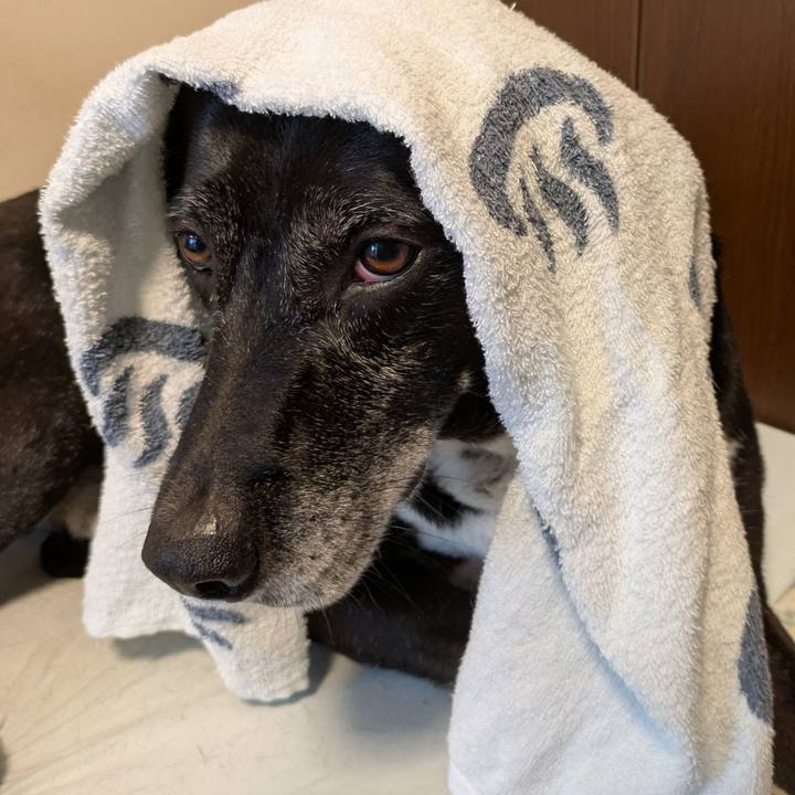 Cb8f5965 a011 40cb a377 db317be037eb 1753355342561