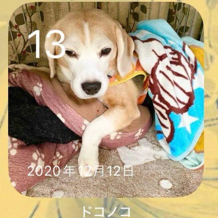 Cb8f82c9 1fc7 40fc b236 d46b6d08f036 1702426211940