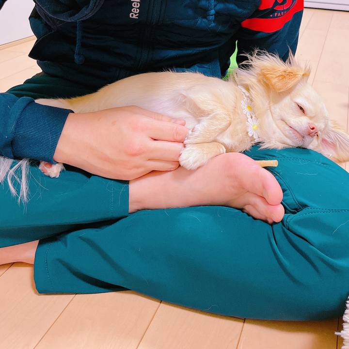 Cb8fac59 3a06 417f 9b96 5eb6c152f462 1647736433604