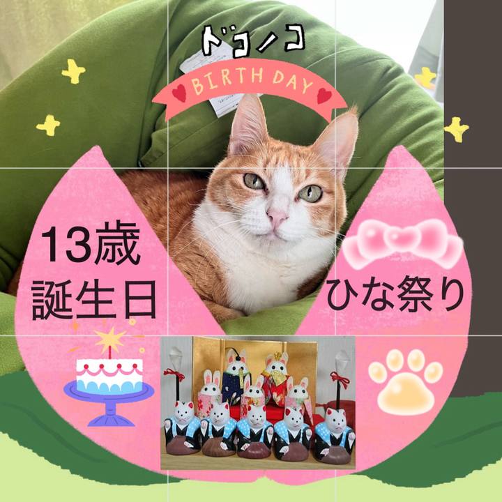 Cb8fbe14 679b 4597 ae05 3169a72fc28d 1772503454698