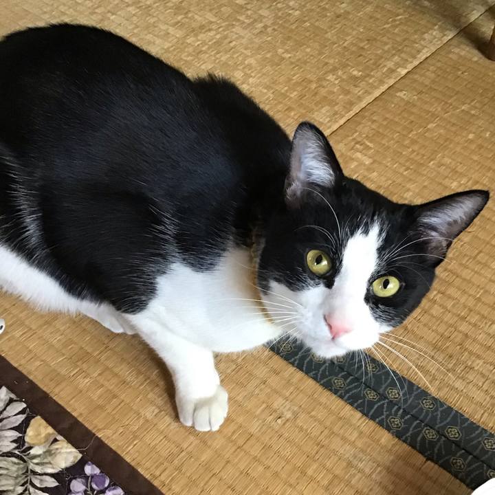 Cb8fee44 cbff 4513 9f51 f54d8507f7dc 1647228479566