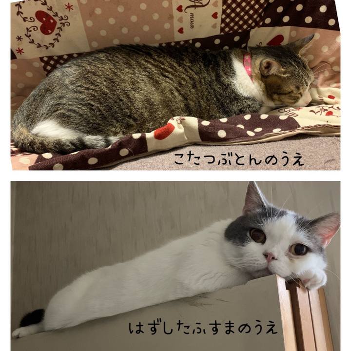 Cb90066e 7a09 4e35 815c 6083faf961c3 1637193358140