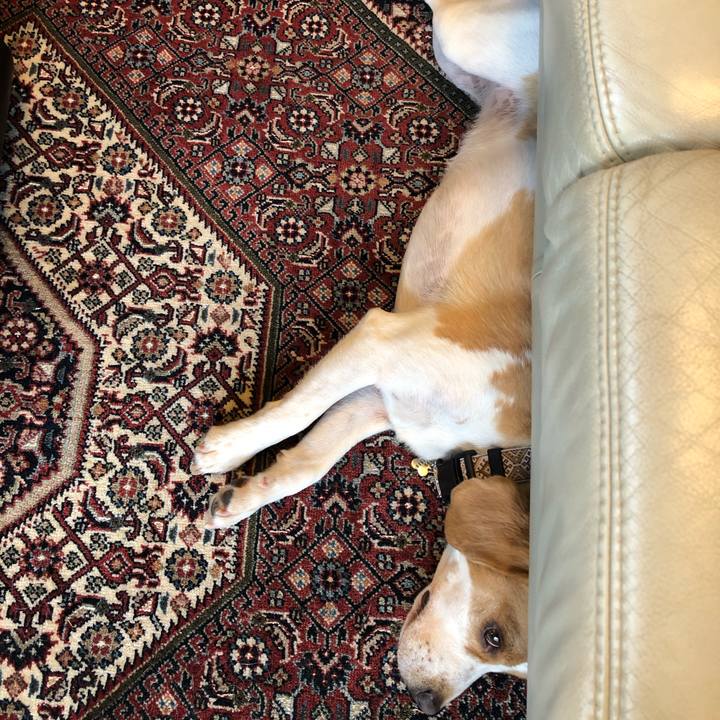 Cb901646 6b40 47fd a57c ca7edd419d78 1599530807037