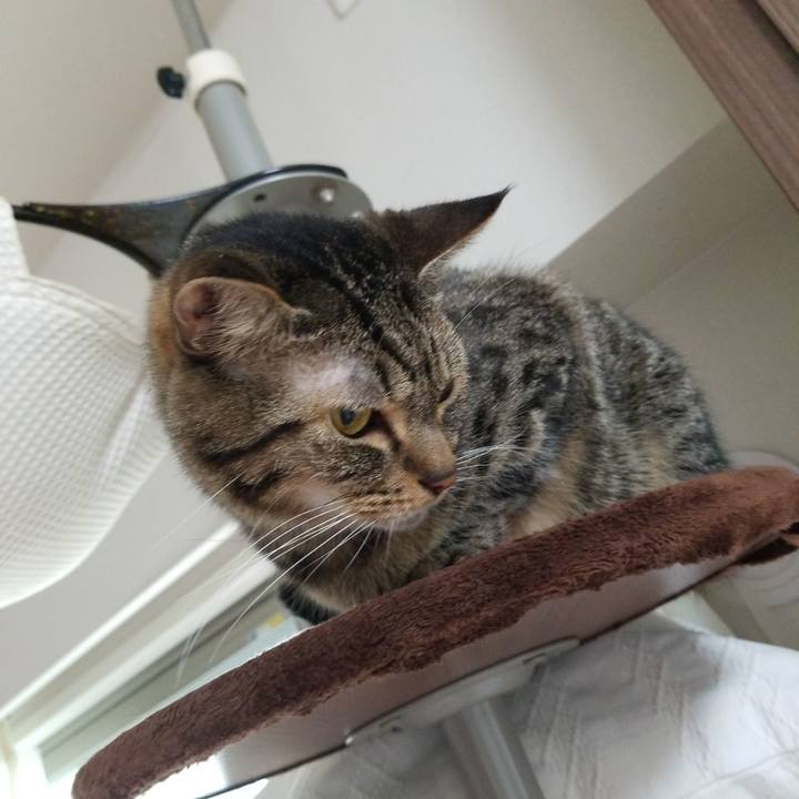 Cb909130 5b2e 4cdc a68b 5ed97a8c166c 1568420463986