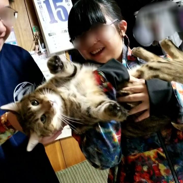 Cb909d30 a6f2 46bd a1c3 a7ce25de8f4c 1642258262584