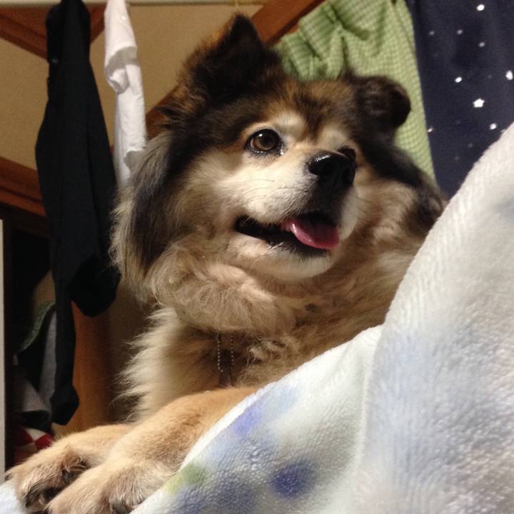 Cb90e53f 5ba1 4d06 9544 42a2dca66954 1550393817754