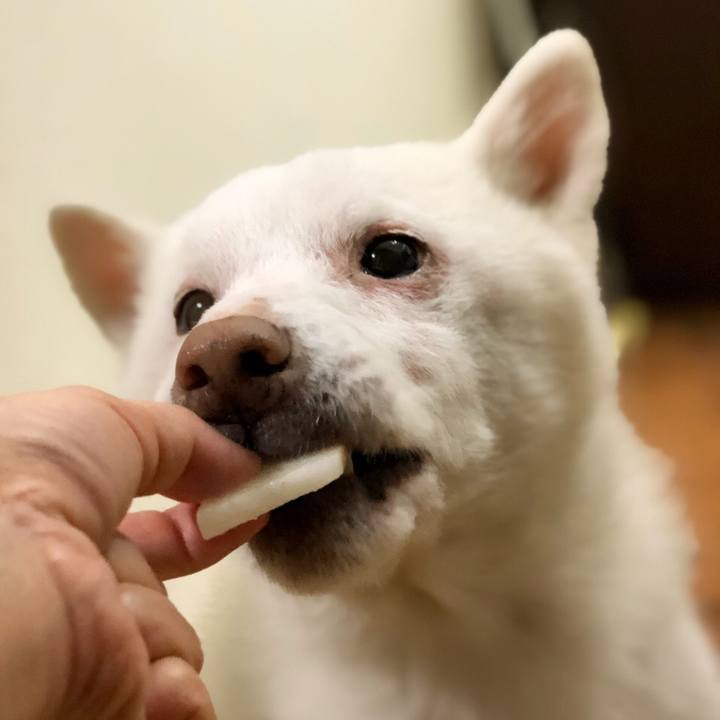 Cb90e6de a146 42ba af64 be6978481813 1573210798120