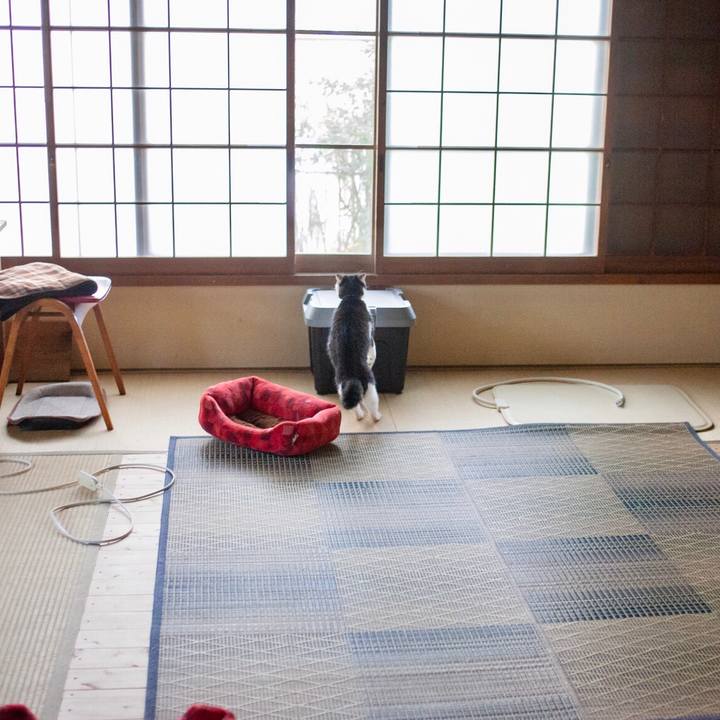 Cb912337 6a4c 43c8 94a8 a2d5b2da7b84 1576373936550