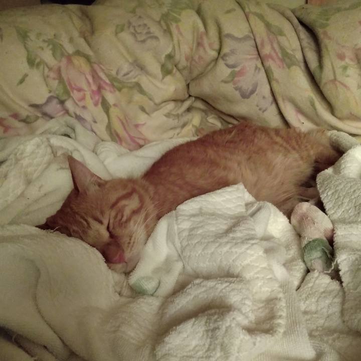 Cb91522c 2844 4692 9bed 188e445509b2 1718747783061