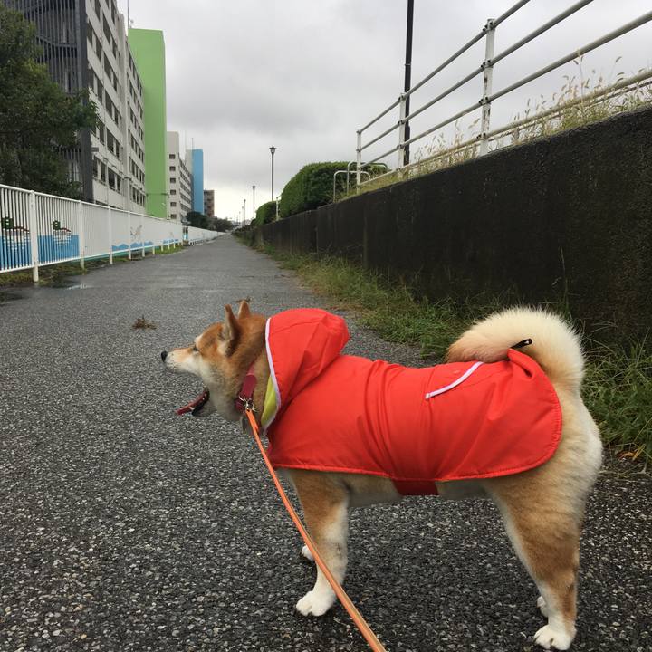 Cb9162b1 03af 497a b59b 1b2100507f84 1568607464593