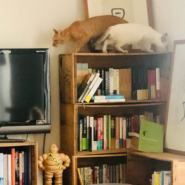 Cb919723 0cfe 47f3 9193 e58b45826c9c 1728006512733