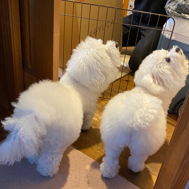 Cb91c9e0 876d 4907 8092 9df440d6c2fe 1605943568024