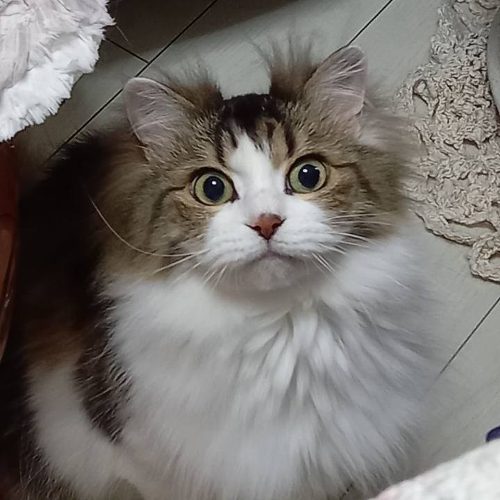 Cb91df23 1e54 4a1c b517 d67066573326 1620950728184