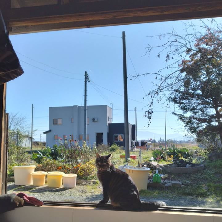 Cb91e033 8acb 4c8c b45b b2cf56e47dff 1699517226745