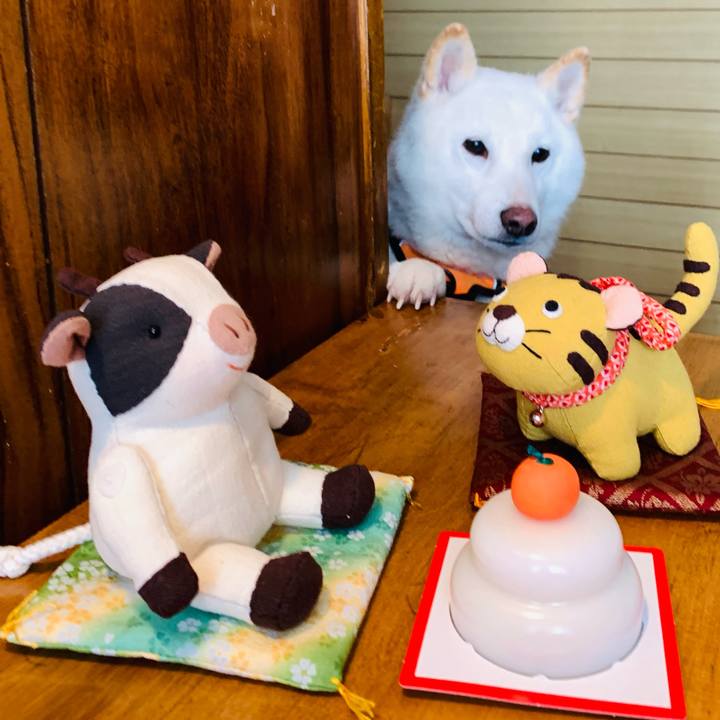 Cb920e71 9ed9 4b19 bfc5 50452e38e475 1640829251718