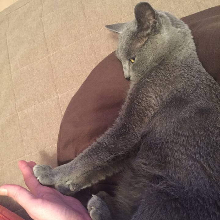 Cb925257 e62c 42ed 91f0 4df3055b0775 1519254608581