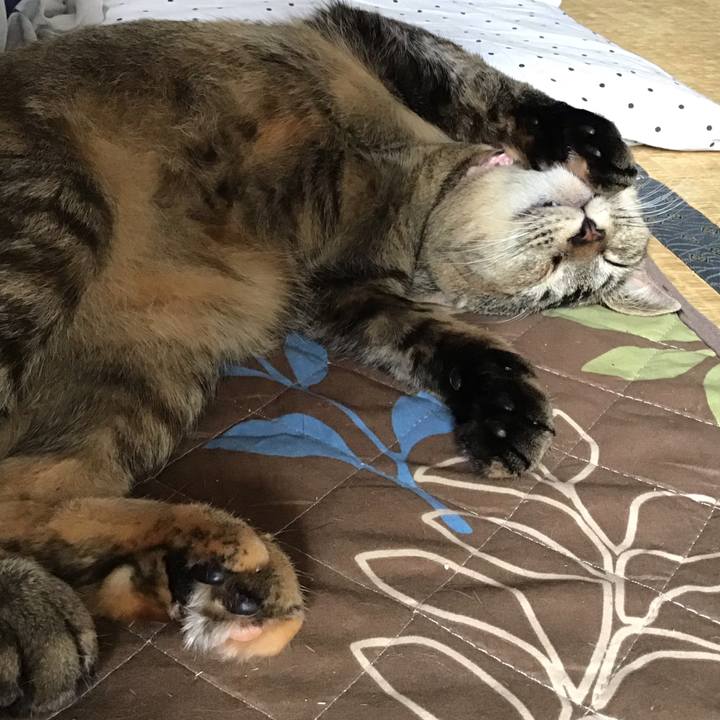 Cb925c75 dbd8 44f6 8498 c505b8f8aed0 1590286945222