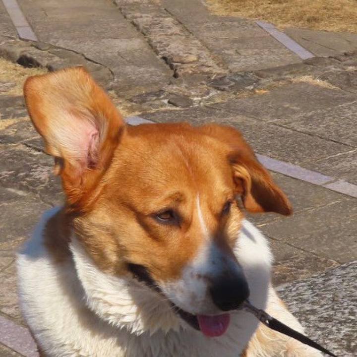 Cb925fd6 d7e2 4965 a4ce 910380c262f7 1647351220323