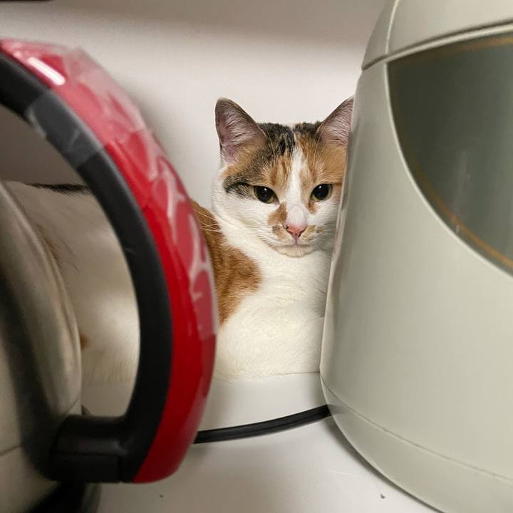 Cb92709c 1cb7 461b b7e7 cf6b84f7080f 1612450737268