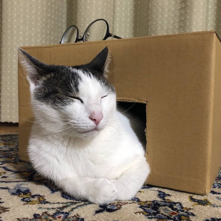 Cb928596 72e4 415b bdde a9dfe69338f3 1622464628525