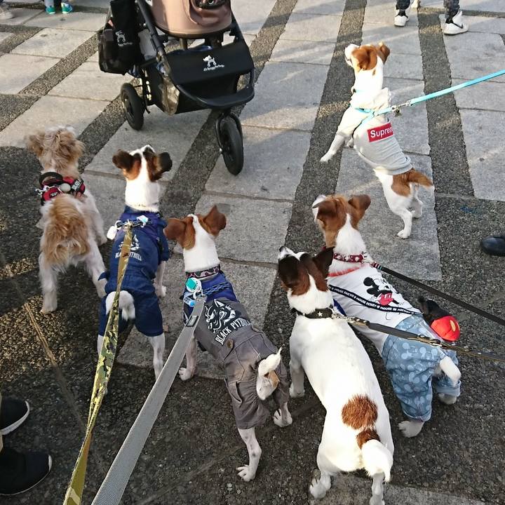 Cb929cfa 88ac 466d 81d3 28a4b5710859 1539508433613