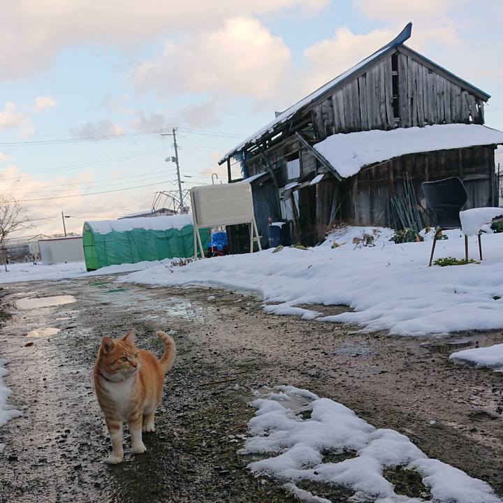 Cb92bb1f 1857 403f 91d0 1bb07072f106 1577517129221