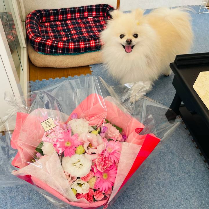 Cb92cd2f 2f82 45a9 866a 5895be7489ed 1630907387313