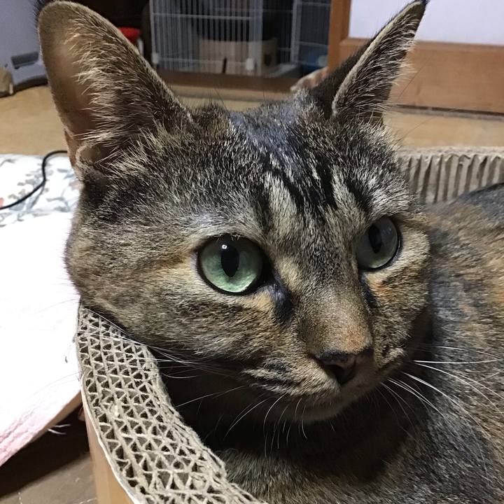 Cb92f29e c255 44d8 90d0 64fef9d98840 1761303354513