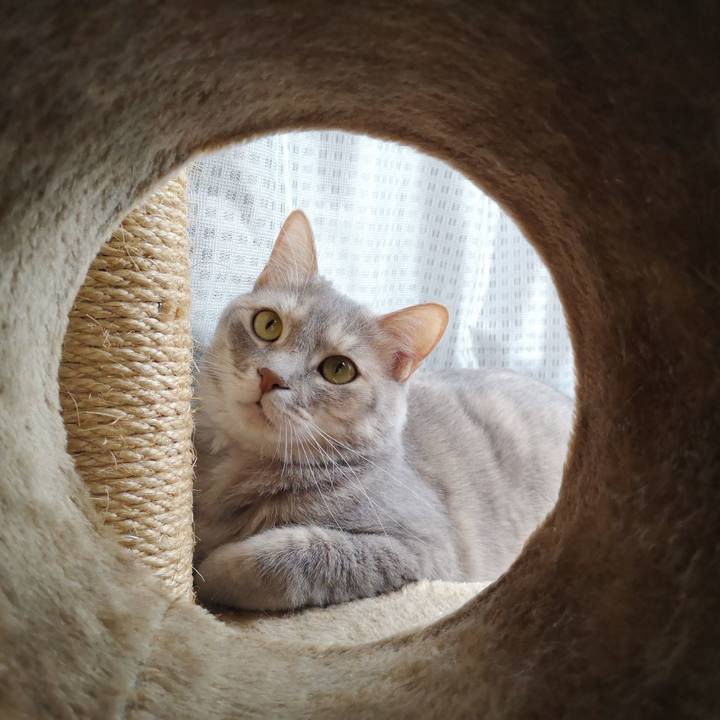 Cb932d1a 4582 42ba a248 c379bb742b03 1558155770310