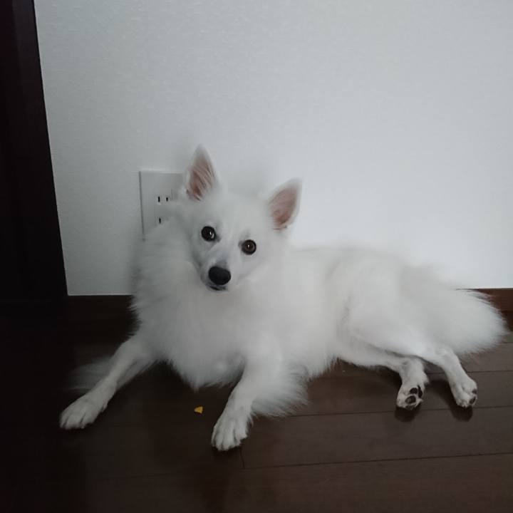 Cb93bb10 cae7 411a 9e3b 839d0cdc8c8d 1537509366883