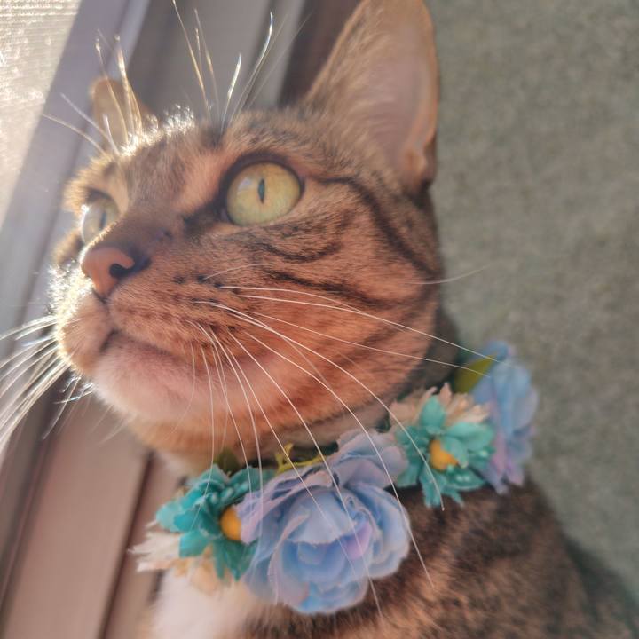 Cb93c86e ae02 4ba7 8c09 52d1f98334d2 1763425023627