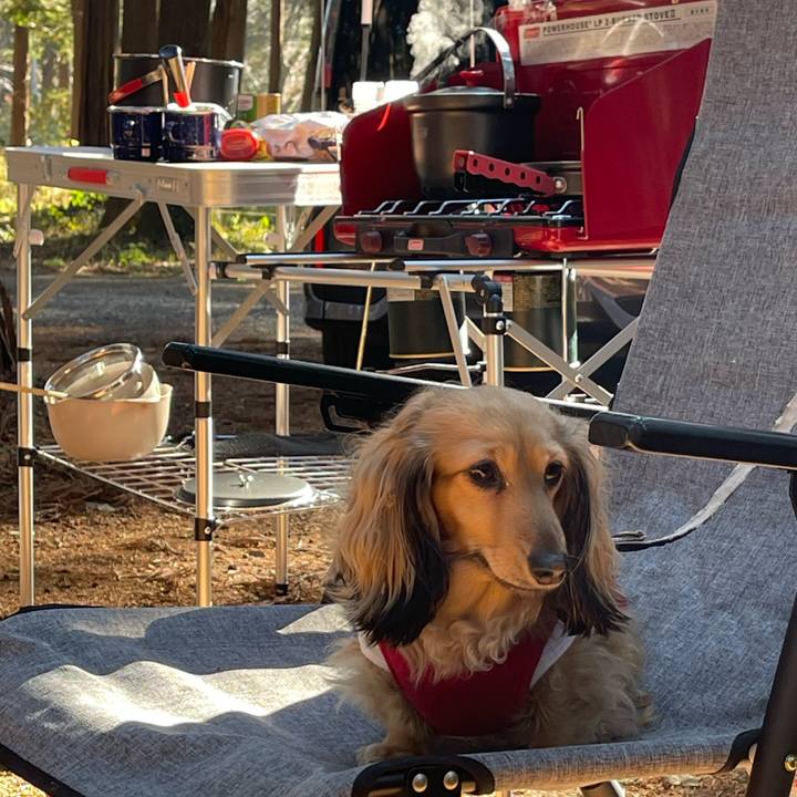 Cb93f8e8 9fe0 4a2f 85b9 a305732a58d8 1767063032890