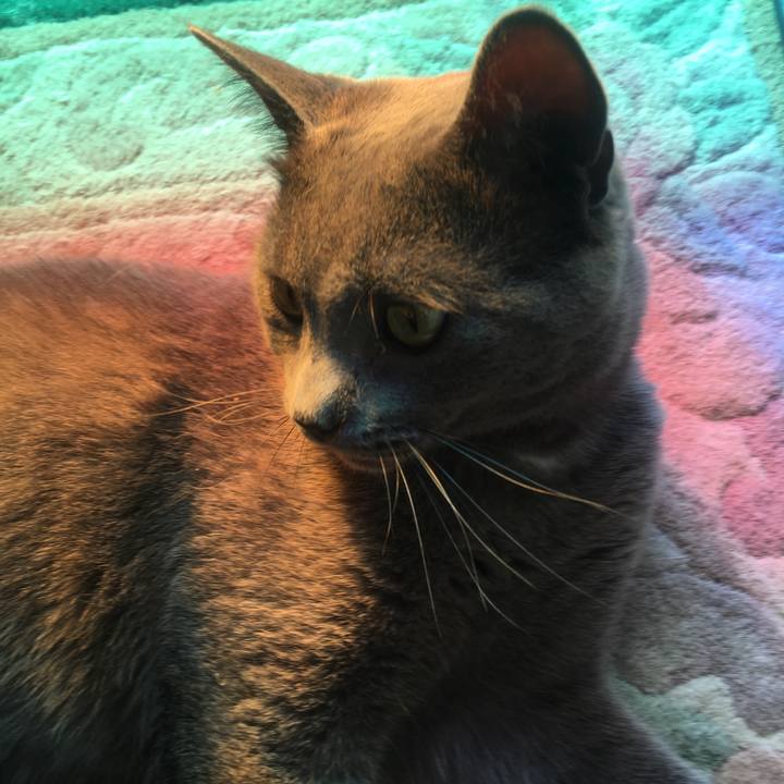 Cb93fb63 7ba4 40a4 b108 059bdc86d071 1633652032952