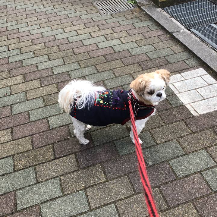 Cb941087 80b3 4d27 9cf7 e6a93e593422 1609192454120