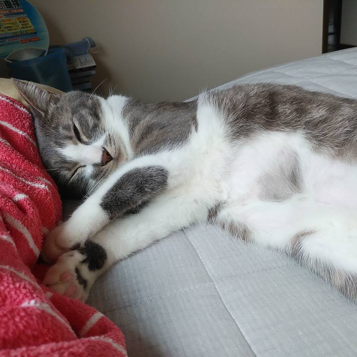 Cb9431fa aa19 482e bd1a 932291af117f 1590193709501