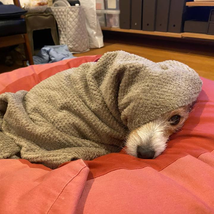 Cb945d02 9c24 4a81 b079 776eb0df0acf 1706017150195