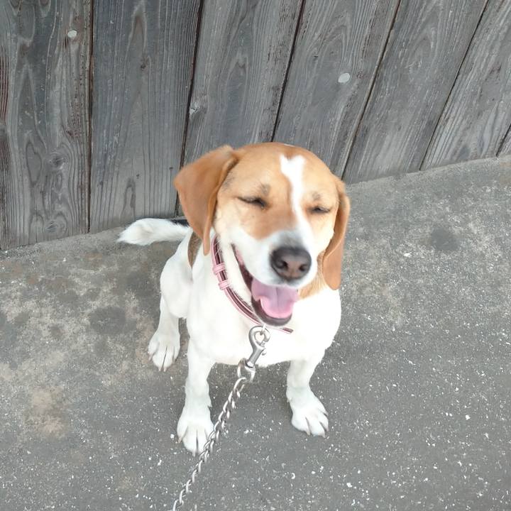 Cb9469c0 2702 473b 940f 2c8a0050509d 1588939609547