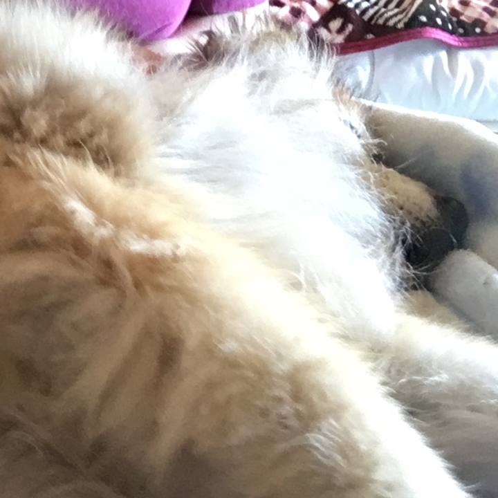 Cb94bc95 8a01 43ca 8243 cfb9591fe55b 1593314256823