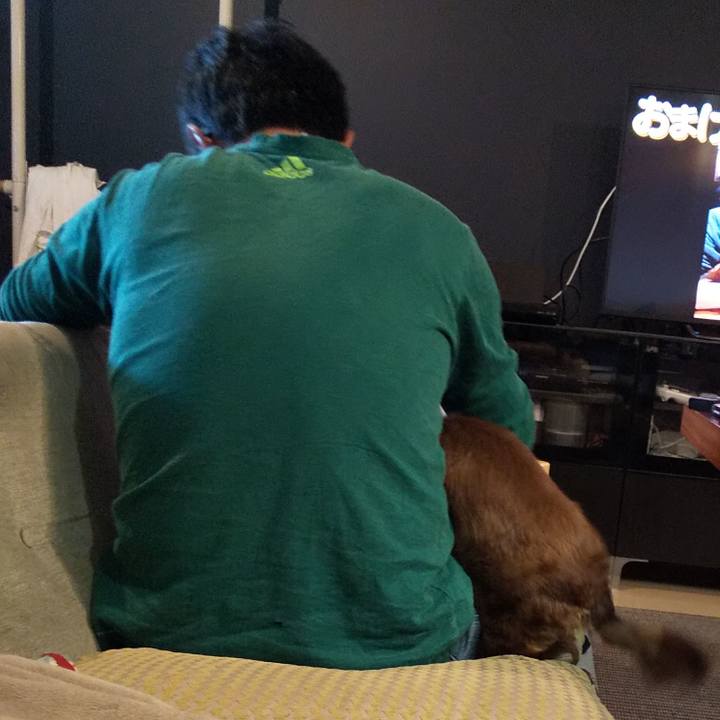 Cb94c6ef 921e 45f8 895d 59da92d36b18 1589630095732