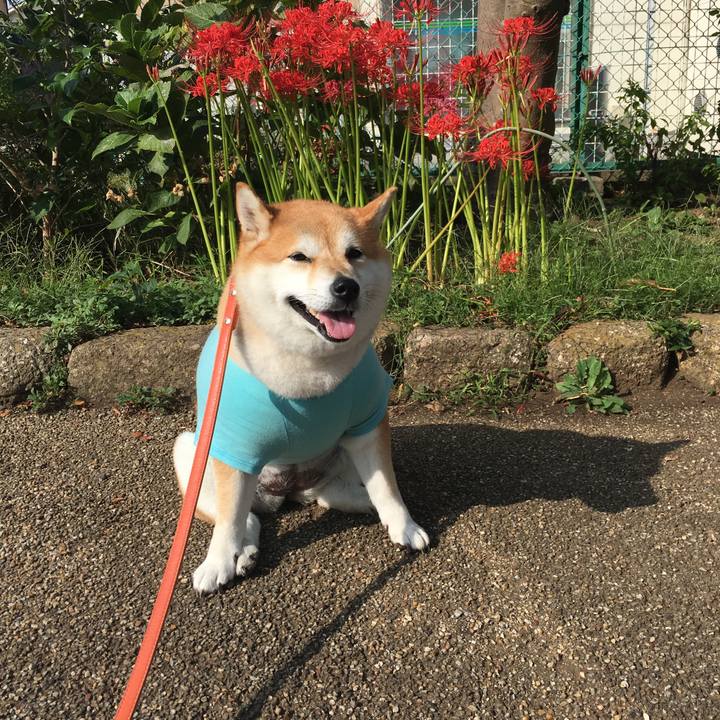 Cb94dbe5 312e 4830 8477 a29fbd81433b 1569803340685